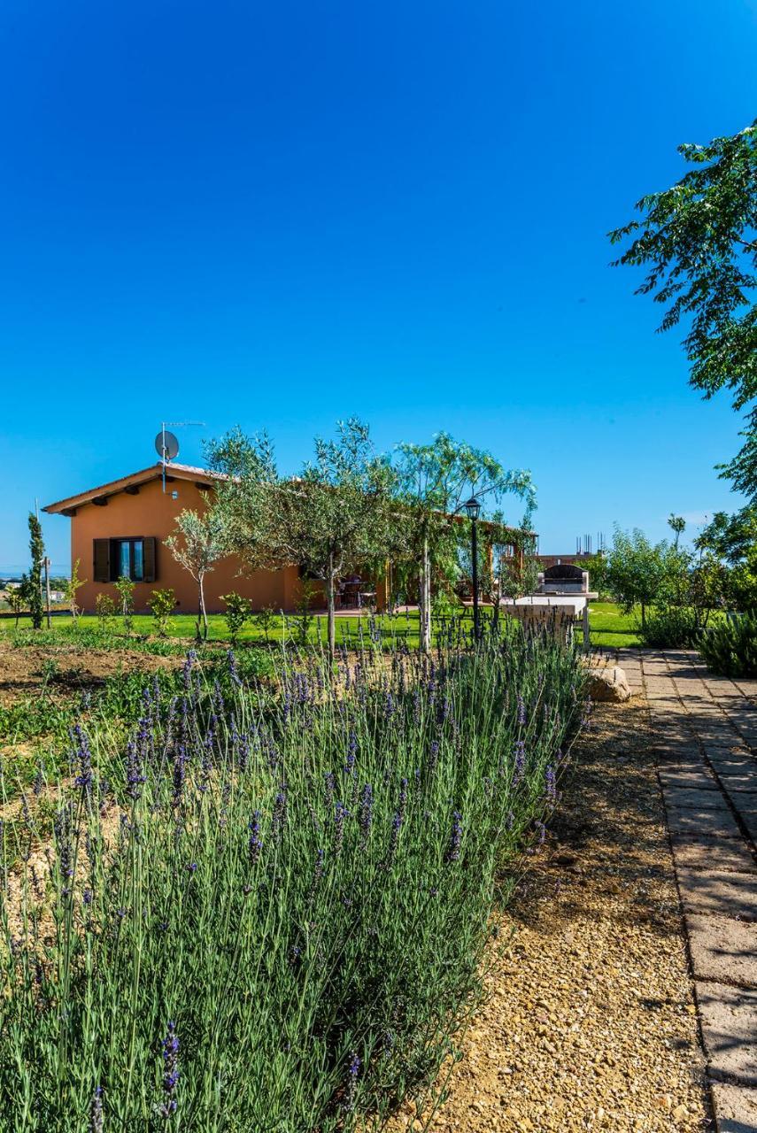 Agriturismo Poggio Di Maremma Pescia Romana Εξωτερικό φωτογραφία